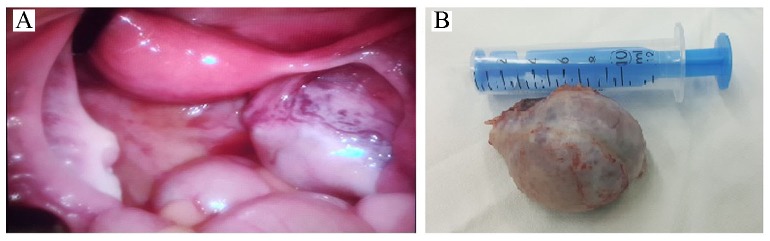 Figure 2.