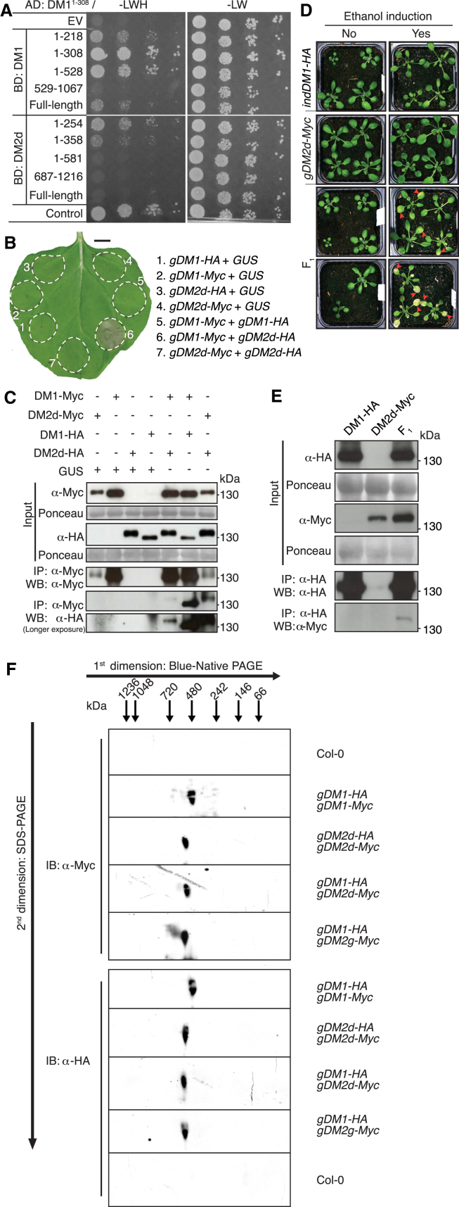 Figure 3