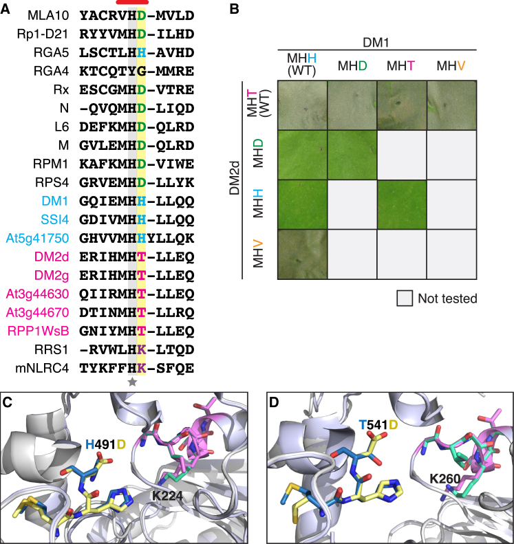 Figure 6