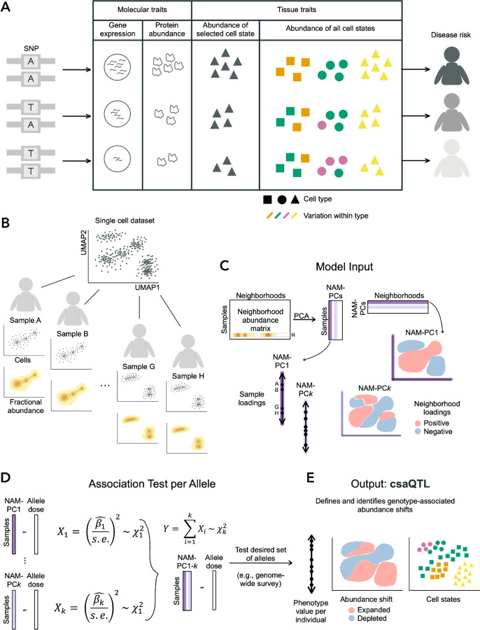 Figure 1: