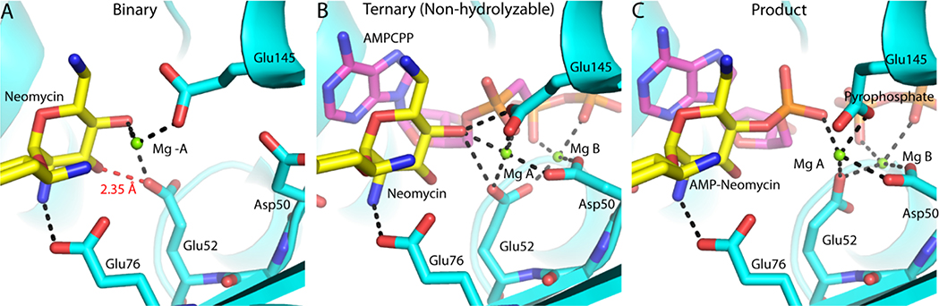 Figure 3.