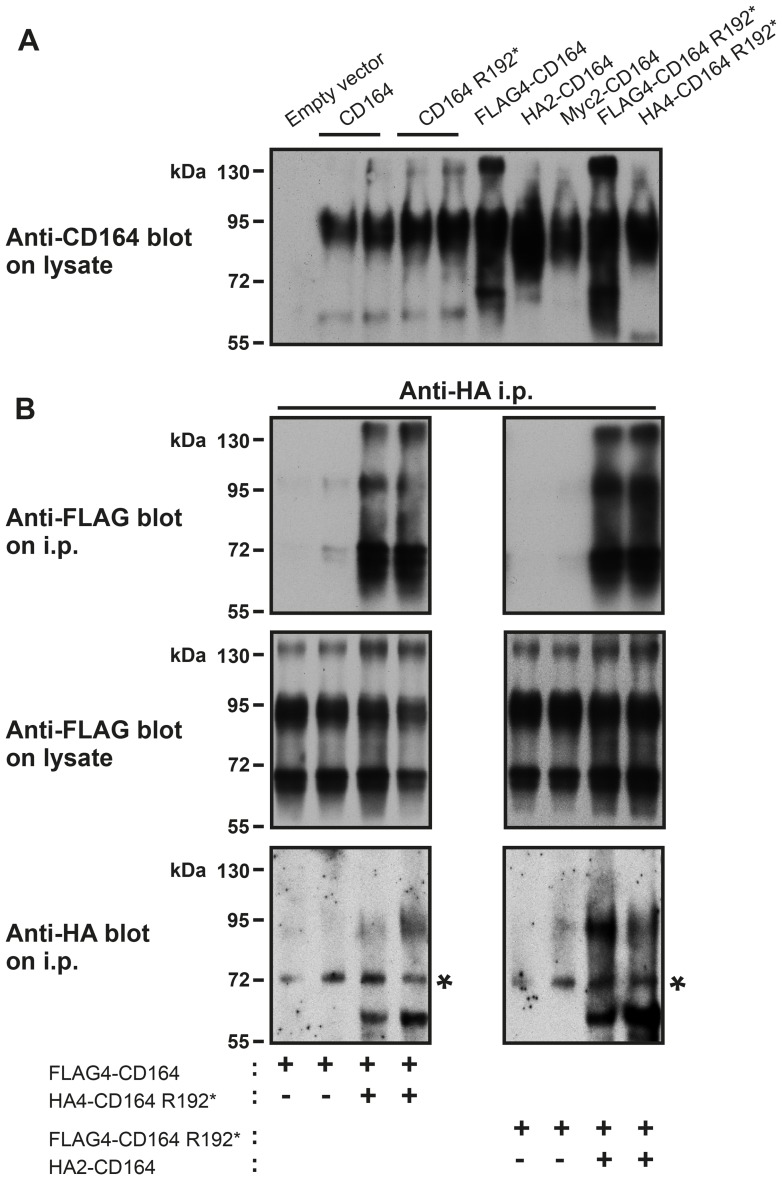 Fig 5