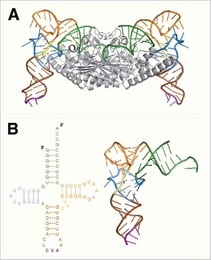 Figure 3.