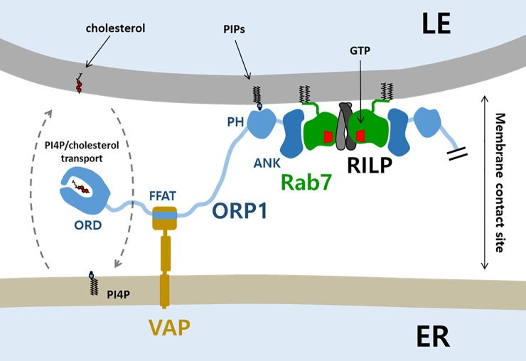 Fig 4