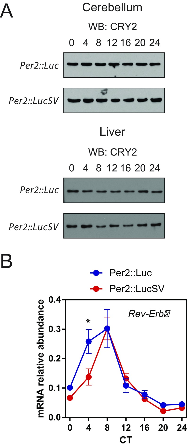 Fig. S3.