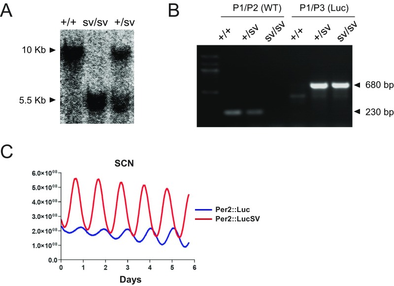 Fig. S1.