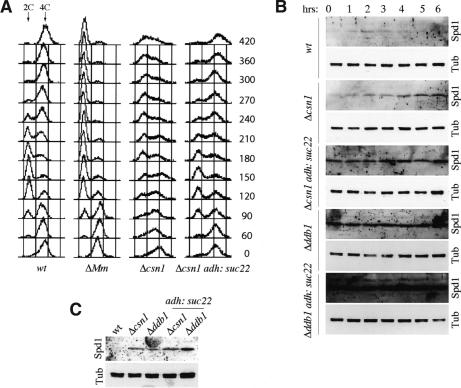 Figure 6.