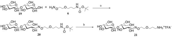 Scheme 5