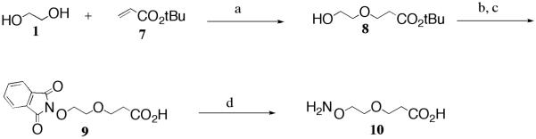 Scheme 2