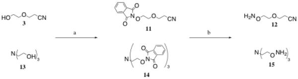 Scheme 3