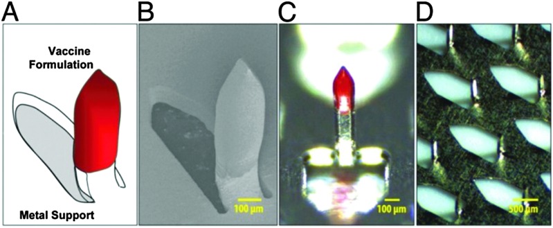 Fig. 22