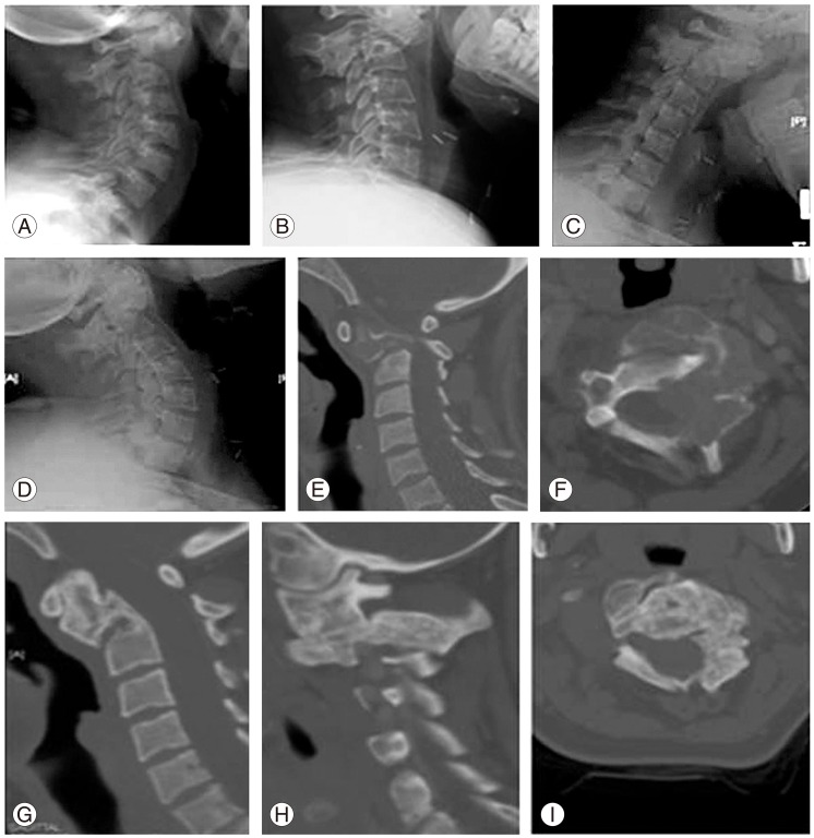 Fig. 5