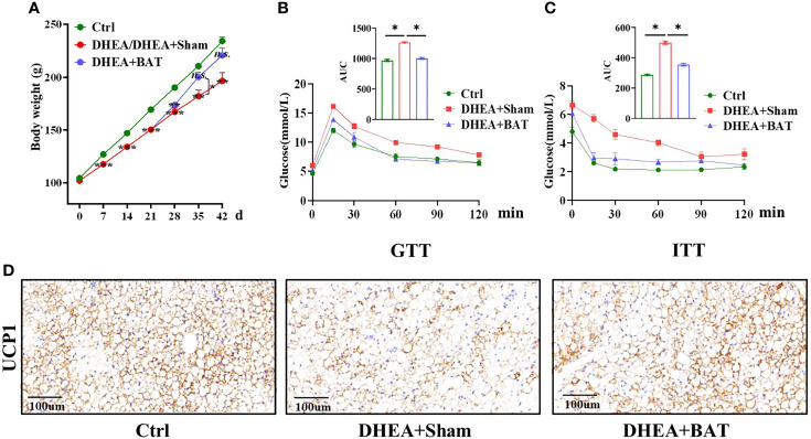 Figure 3