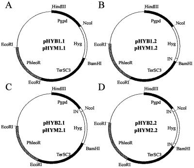 FIG. 1