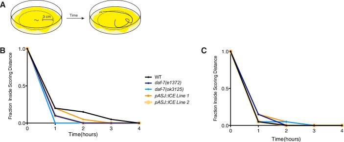 Figure 3—figure supplement 2.