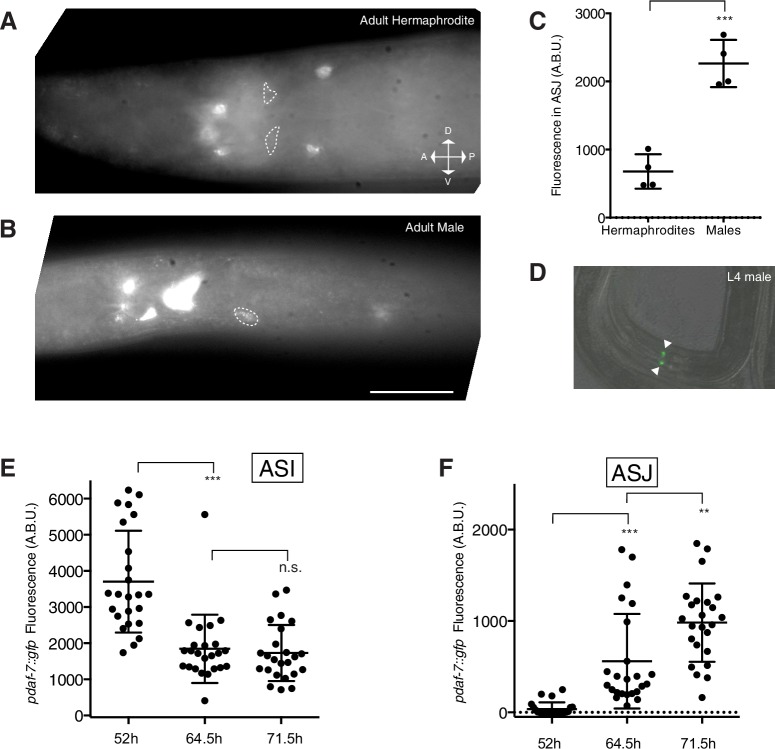 Figure 1—figure supplement 1.