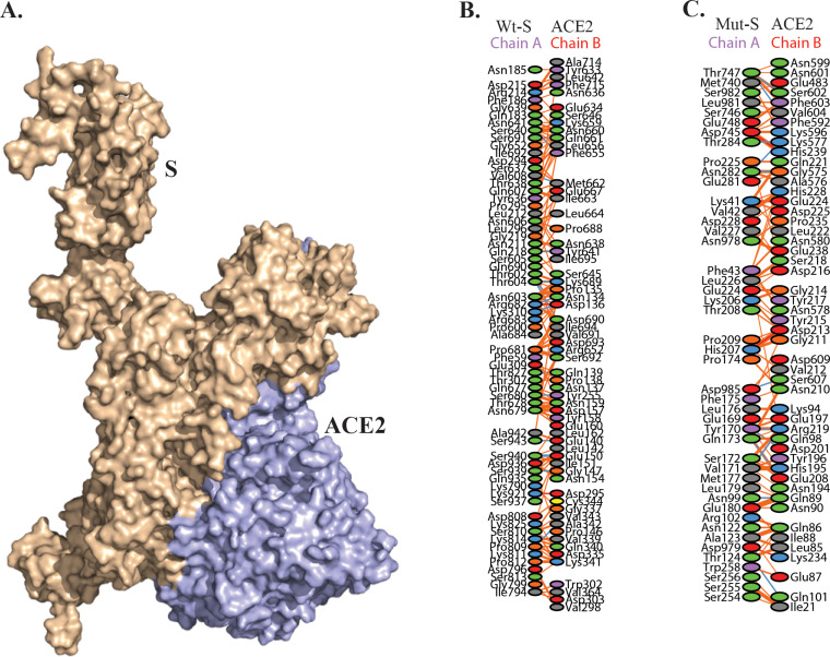 FIG 6