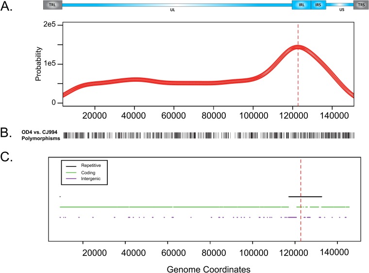 FIG 2