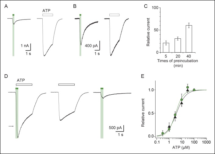 Figure 2—figure supplement 1.