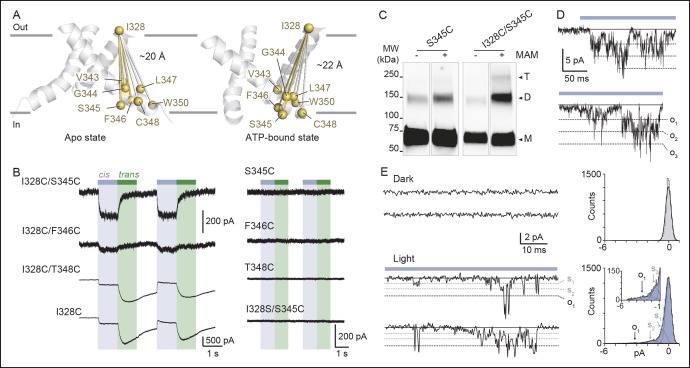 Figure 3.