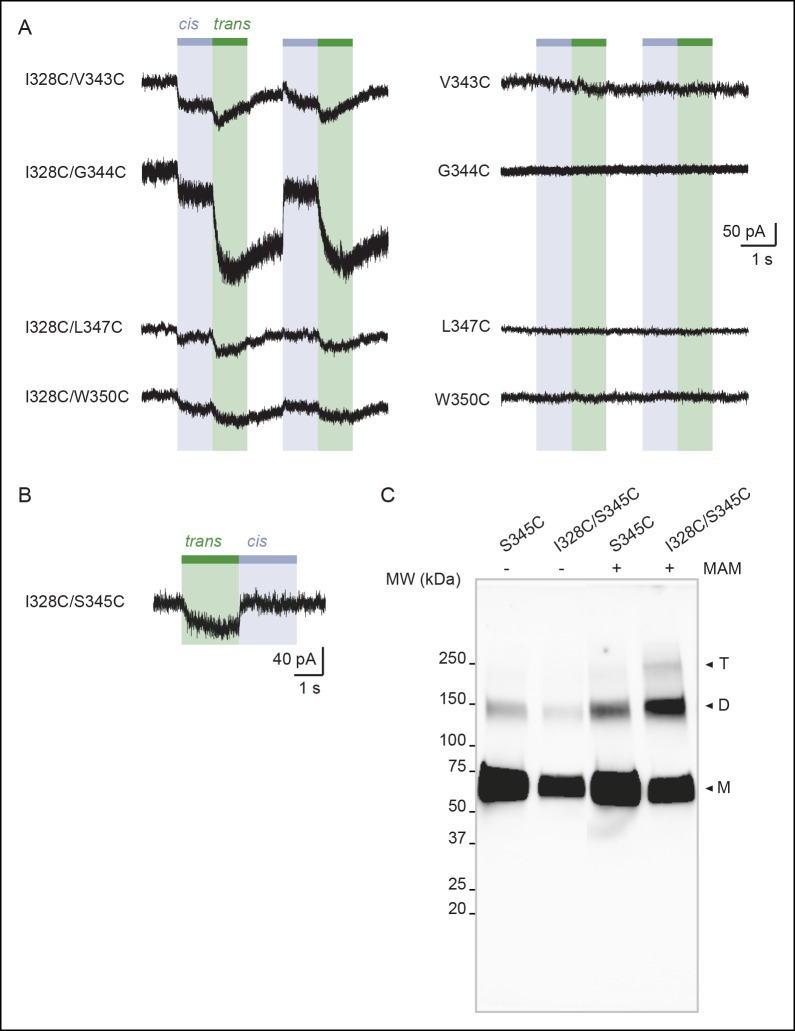 Figure 3—figure supplement 1.