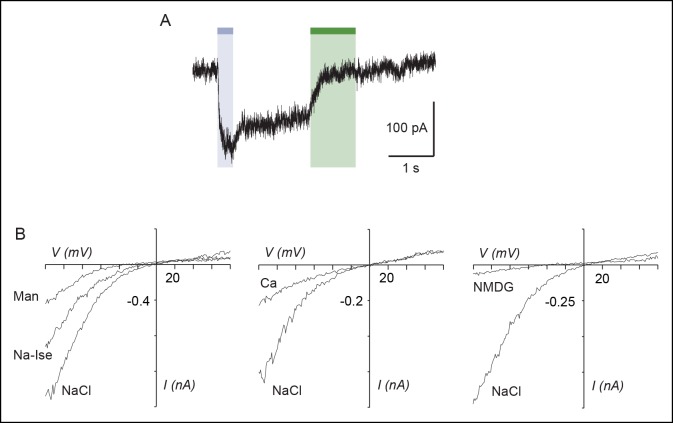 Figure 3—figure supplement 2.