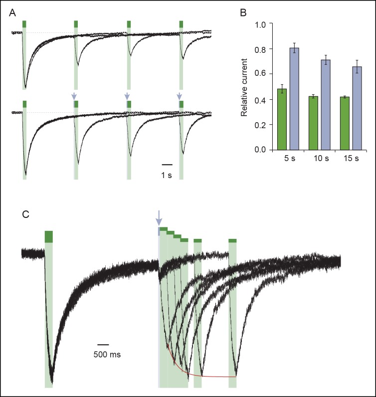 Figure 2—figure supplement 2.