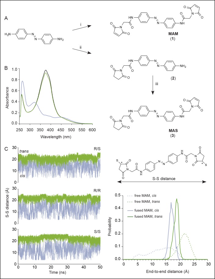 Figure 1—figure supplement 1.