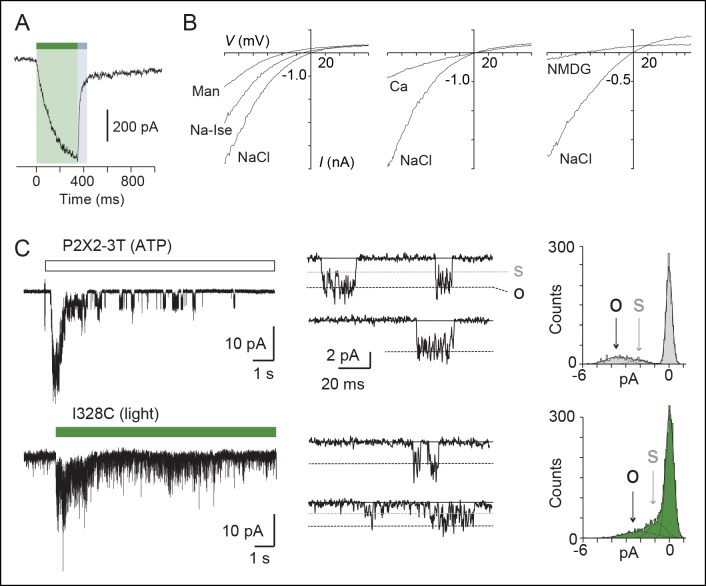 Figure 2.