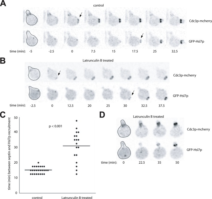 FIGURE 6: