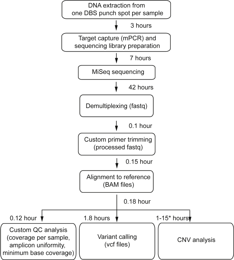 Figure 1