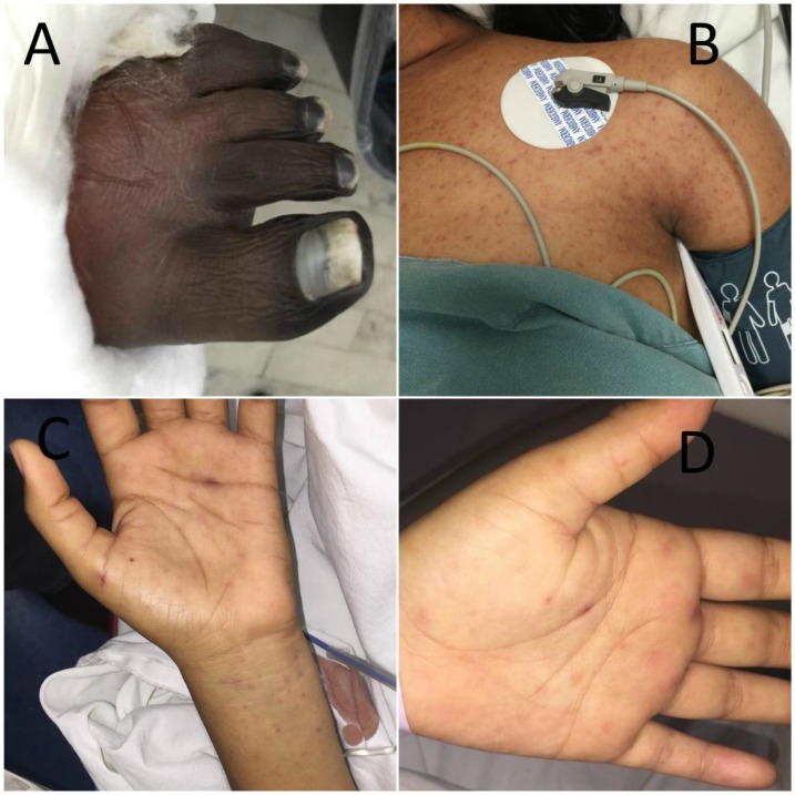 Figure 1.