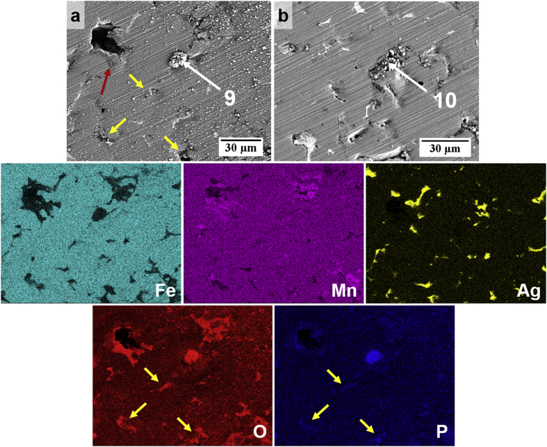 Fig. 11