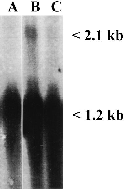 FIG. 6