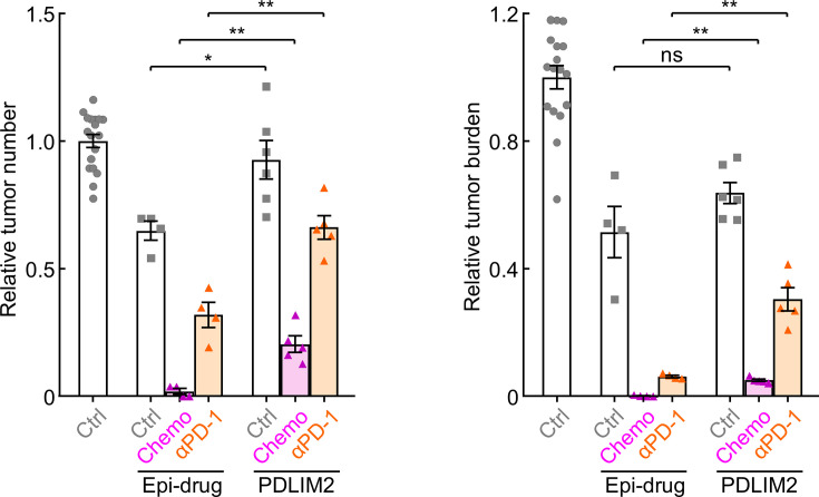 Figure 6—figure supplement 3.