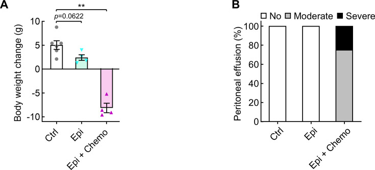 Figure 6—figure supplement 2.