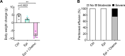 Figure 6—figure supplement 2.