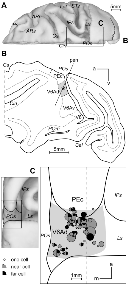 Figure 8