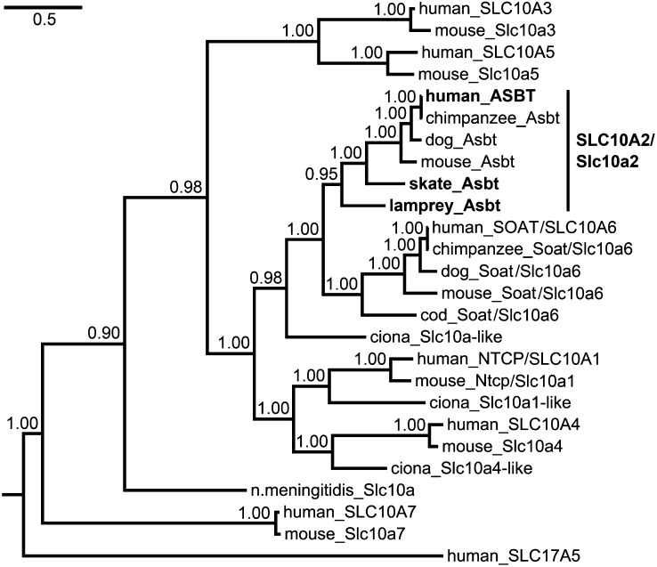 Fig. 3.