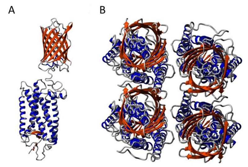 Figure 7