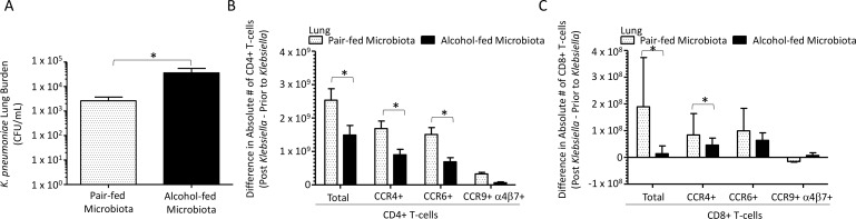 Fig 10