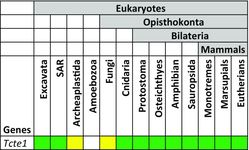 Fig. S1.