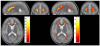Fig. 5