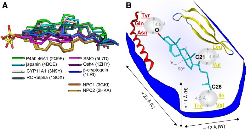 Fig. 3.