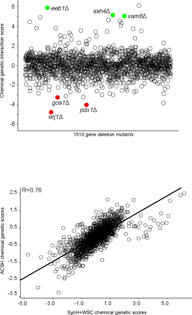 Fig 6