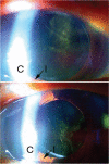 Fig. 4.