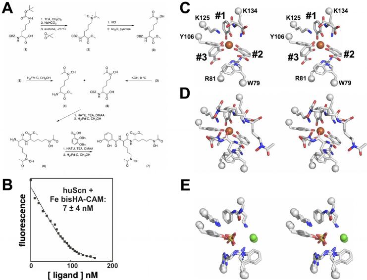 Fig. 3