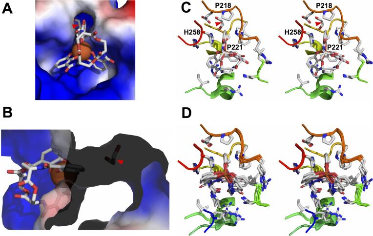 Fig. 8