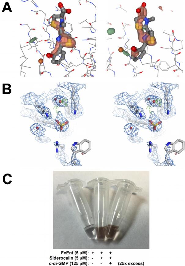 Fig. 7