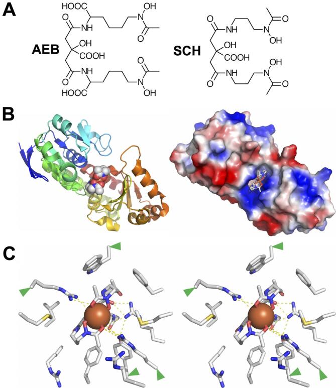 Fig. 10